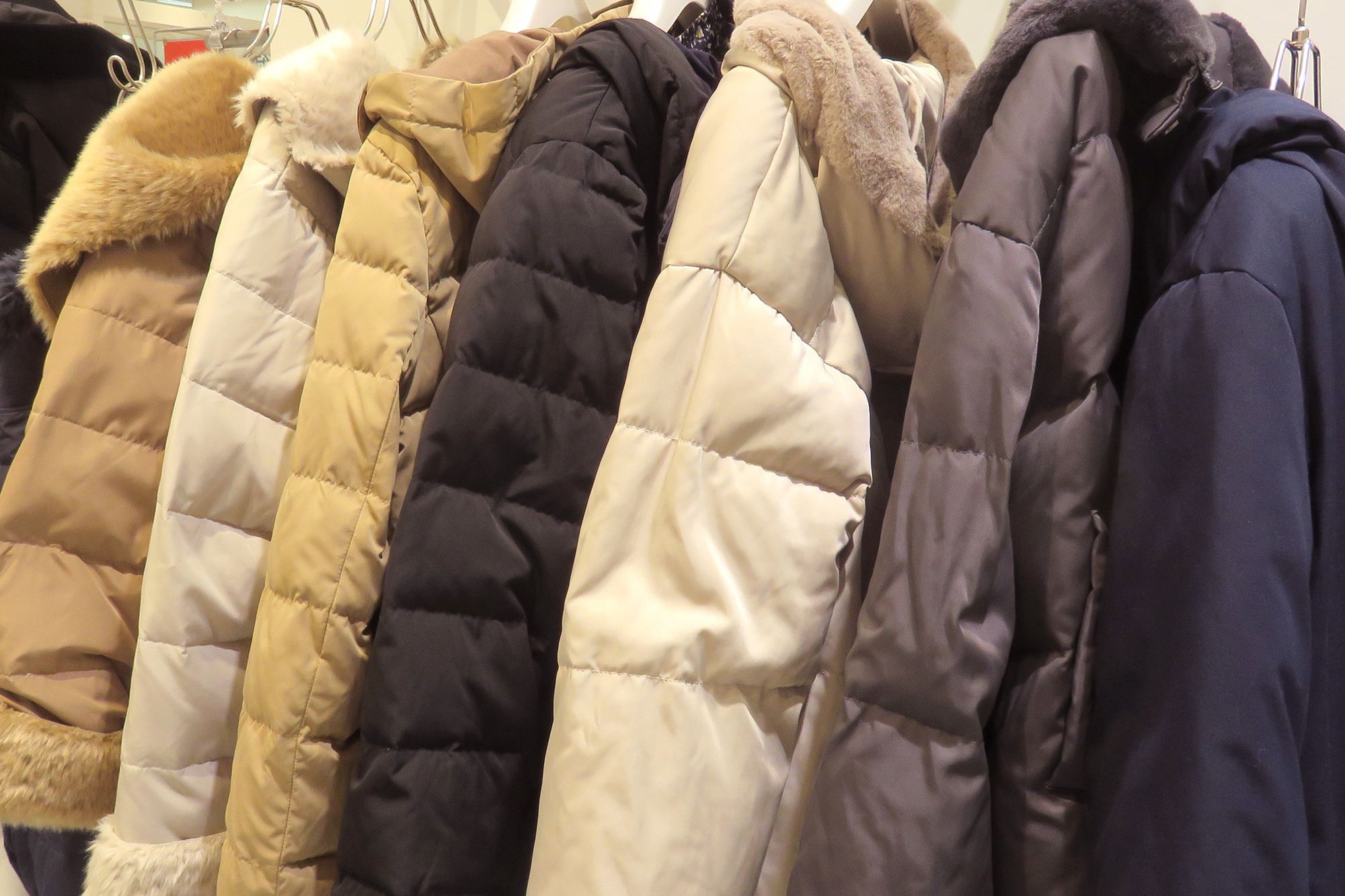 一般クリーニング